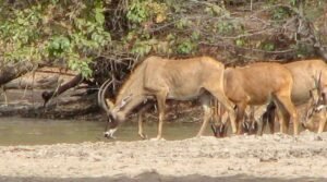 petite-pause-au-plan