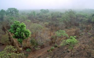 site_1225_0007-1000-619-20221214173720