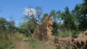 site_1225_0017-1000-563-20230210101541